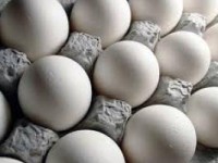 تخم مرغ ۴۰۰ تومان گران شد/ در ماههای اخیر با مازاد تولید روبرو هستیم