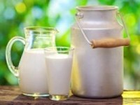 دستور جدید دولت درباره قیمت شیر+ سند