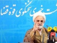اژه ای: بازداشت سعیدلو کذب است