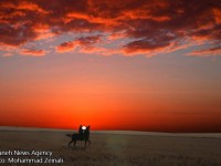 مسابقات اسبدوانی کورس پاییزه در شهر میانه برگزار شد/ گزارش تصویری