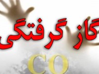 مونوکسیدکربن ۱۵ نفر از مهمانان عروسی را در میانه راهی بیمارستان کرد