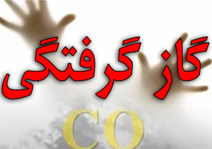 مونوکسیدکربن ۱۵ نفر از مهمانان عروسی را در میانه راهی بیمارستان کرد