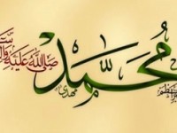 شش حیوان که پیامبر(ص) کشتن آنها را منع کرد