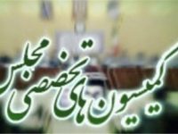 اعضای ۸ کمیسیون تخصصی مجلس دهم مشخص شدند+ اسامی کامل