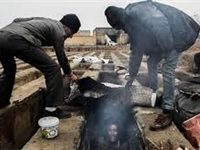 فقرا از «له شدن» زیر چرخ‌های توسعه به «گورخوابی» رسیدند/ چه کسی پیشنهاد «عقیم سازی» کارتن‌خواب‌ها را داد؟