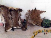 شکارچی متخلف کاغذکنانی دستگیر شد
