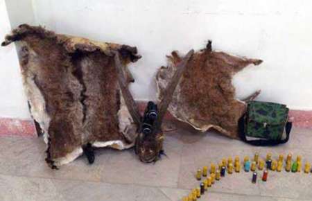 شکارچی متخلف کاغذکنانی دستگیر شد