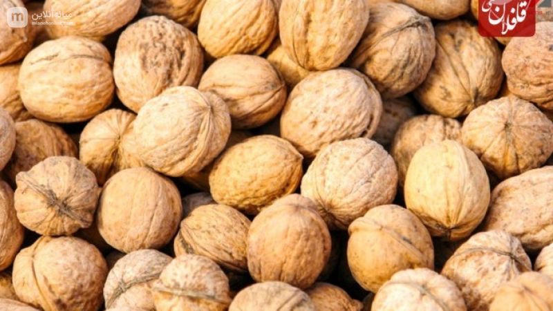توقیف گردو خارجی قاچاق در میانه